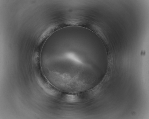X0000111810167200907231243