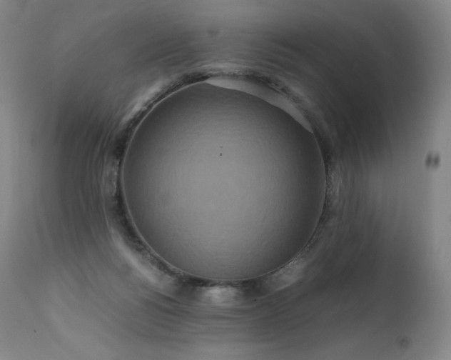 X0000111810168200907231243