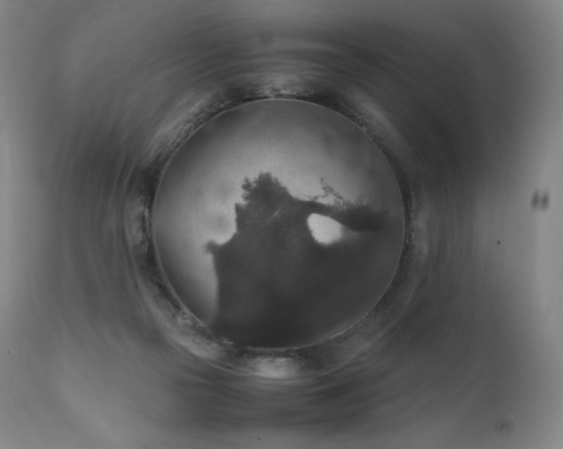 X0000111810169200907231243