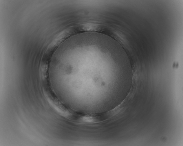 X0000111810171200907231243