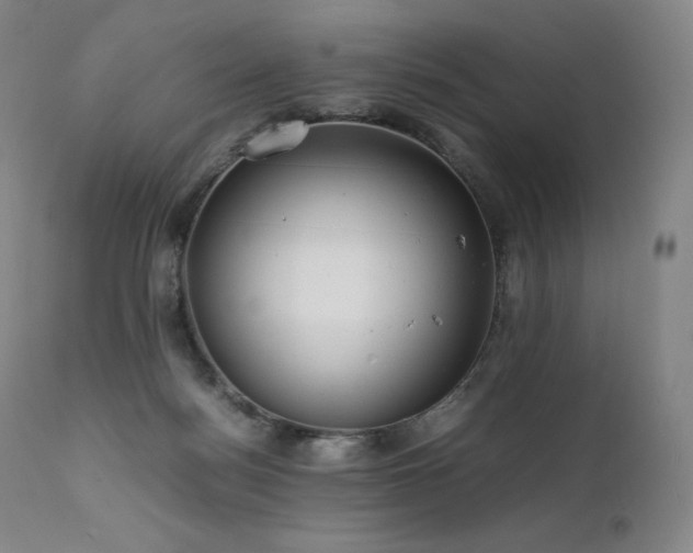 X0000111810172200907231243