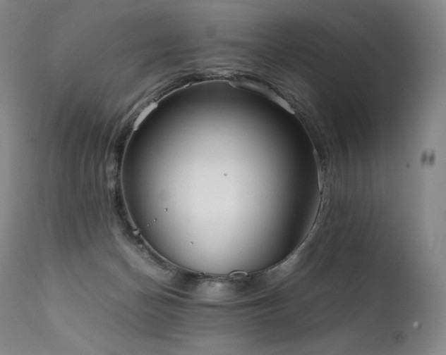 X0000111810174200907231243
