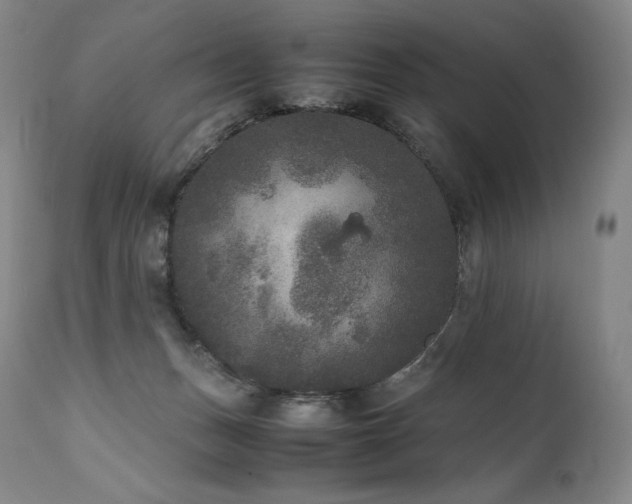 X0000111810175200907231243