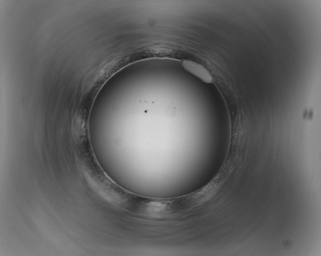 X0000111810176200907231243