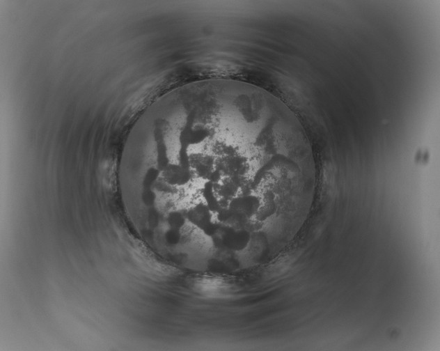 X0000111810177200907231243