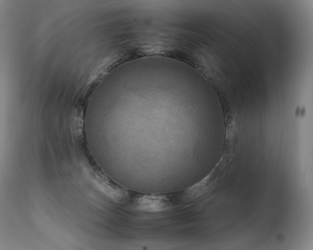 X0000111810179200907231243