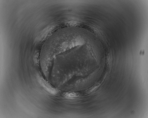 X0000111810181200907231243