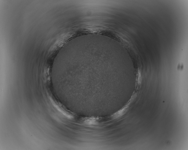 X0000111810182200907231243
