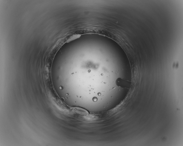X0000111810183200907231243