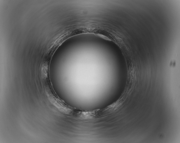 X0000111810188200907231243