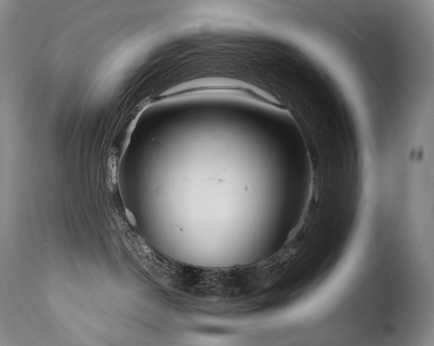 X0000111810190200907231243