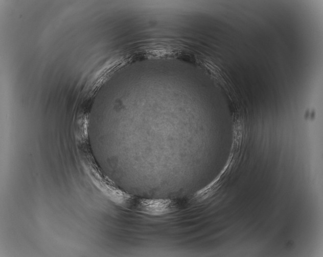 X0000111810191200907231244