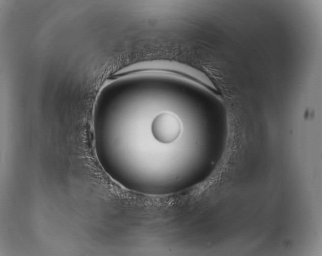 X0000111810192200907231244