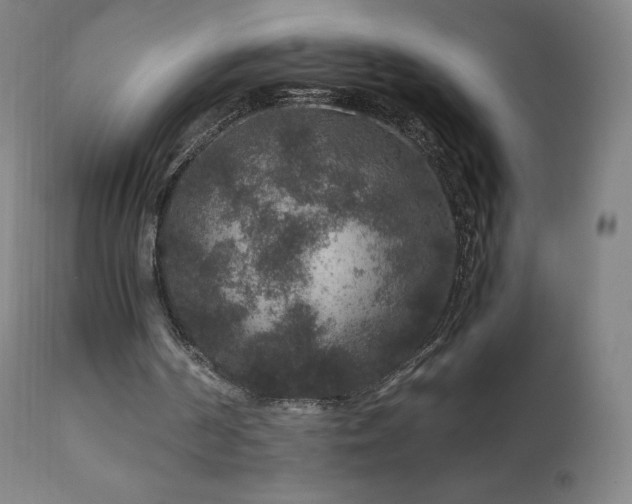 X0000111810194200907231243