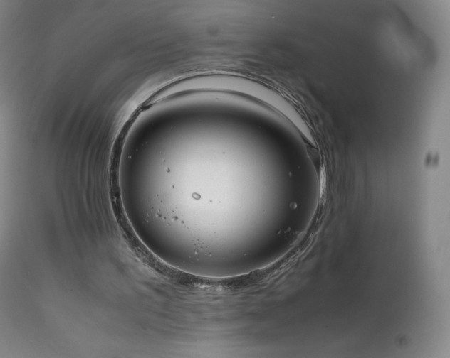 X0000111810195200907231243