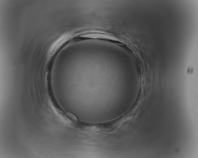 X0000111810197200907231243