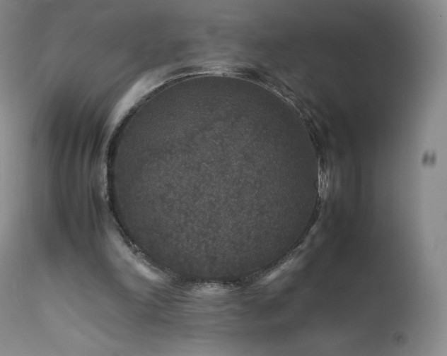 X0000111810198200907231242