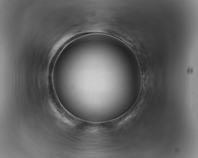 X0000111810200200907231242