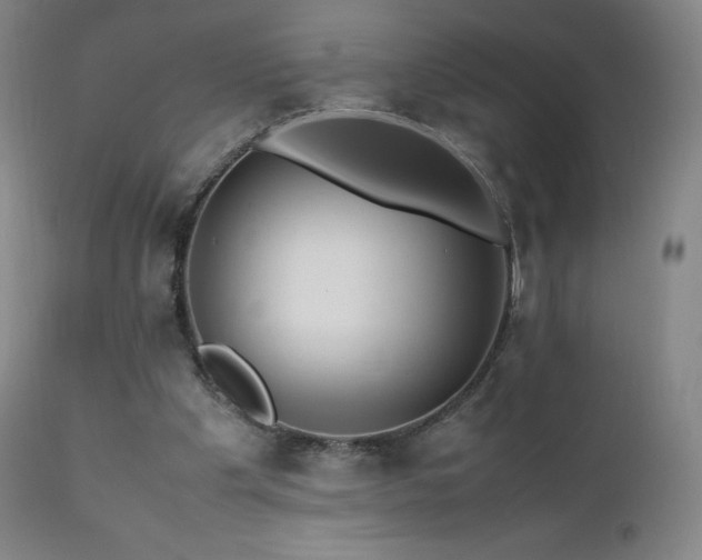 X0000111810201200907231242
