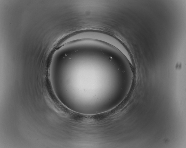 X0000111810203200907231242