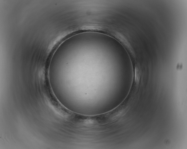 X0000111810204200907231242