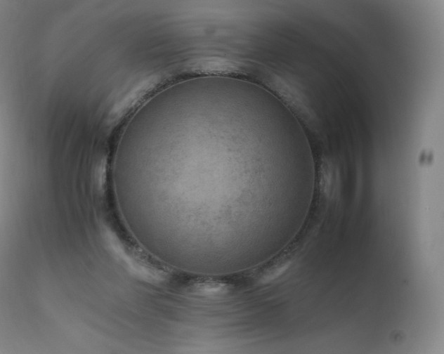 X0000111810206200907231242