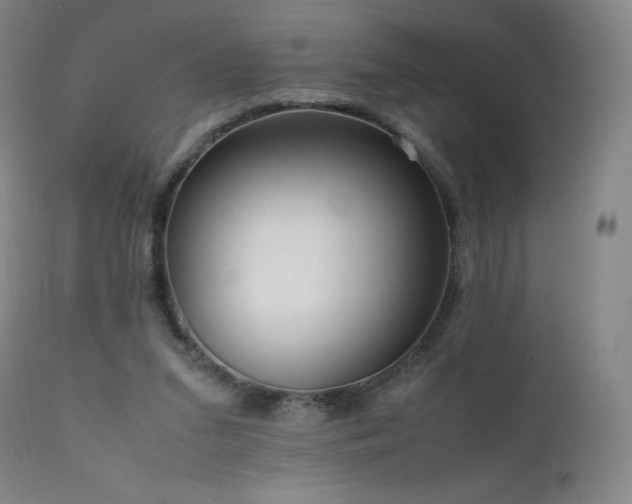 X0000111810207200907231242
