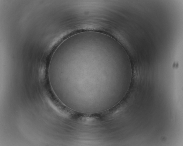 X0000111810208200907231242