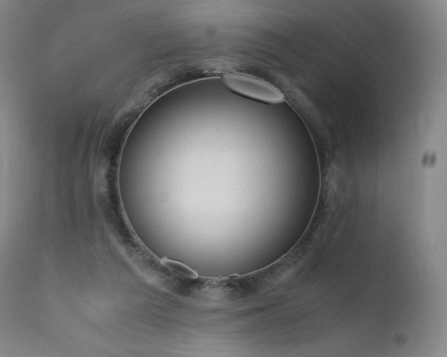 X0000111810209200907231242