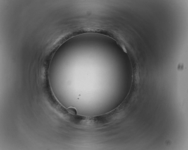 X0000111810211200907231242