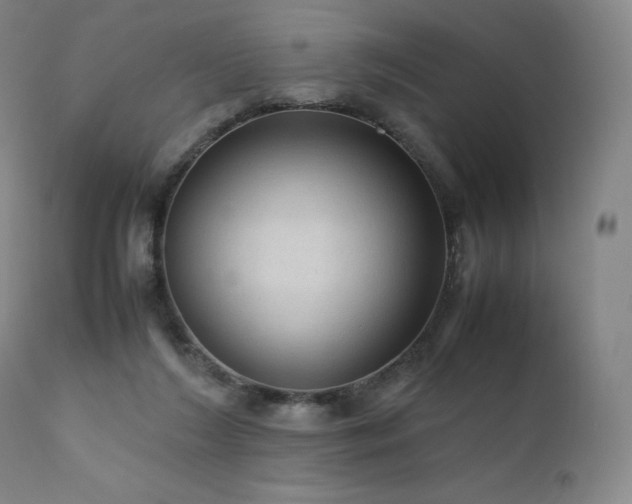 X0000111810212200907231242