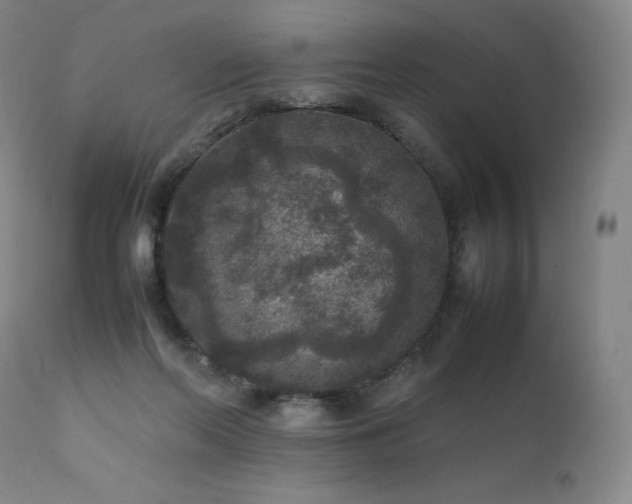 X0000111810214200907231242