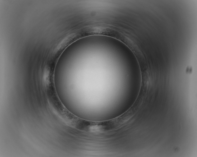 X0000111810216200907231242