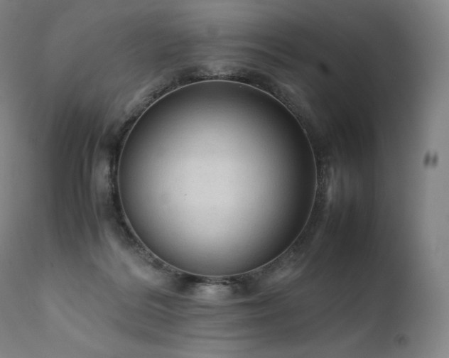 X0000111810220200907231242
