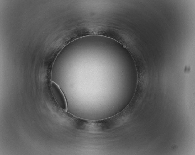 X0000111810221200907231242