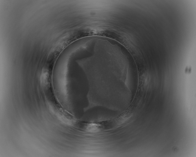 X0000111810222200907231242