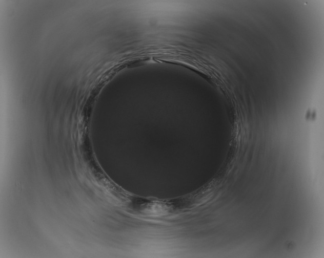 X0000111810223200907231242