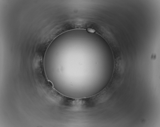 X0000111810225200907231242