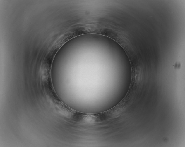 X0000111810226200907231242