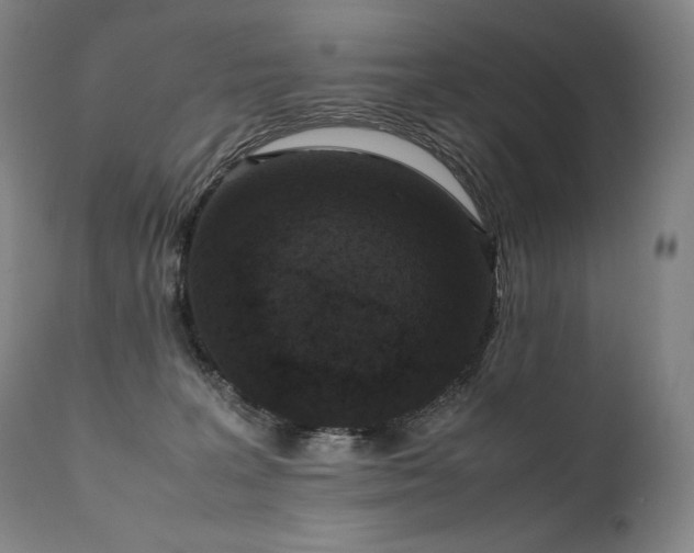 X0000111810227200907231242