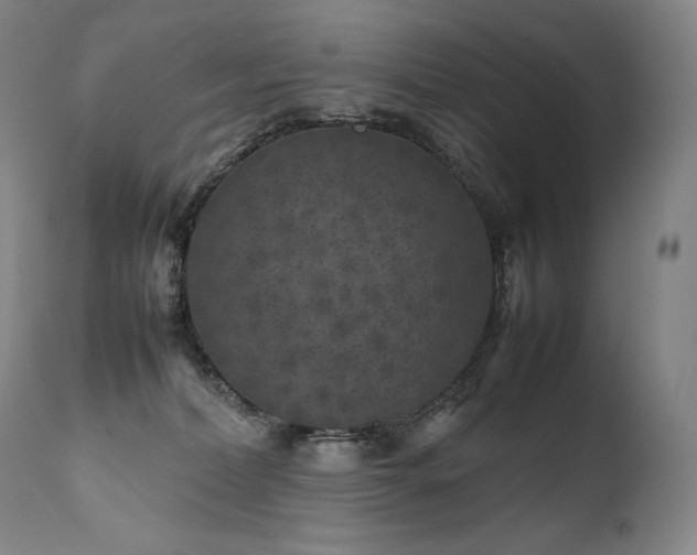 X0000111810228200907231242
