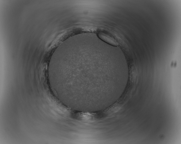 X0000111810229200907231242