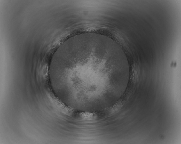 X0000111810230200907231242