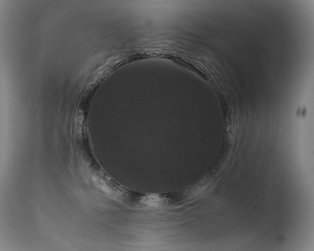 X0000111810231200907231242