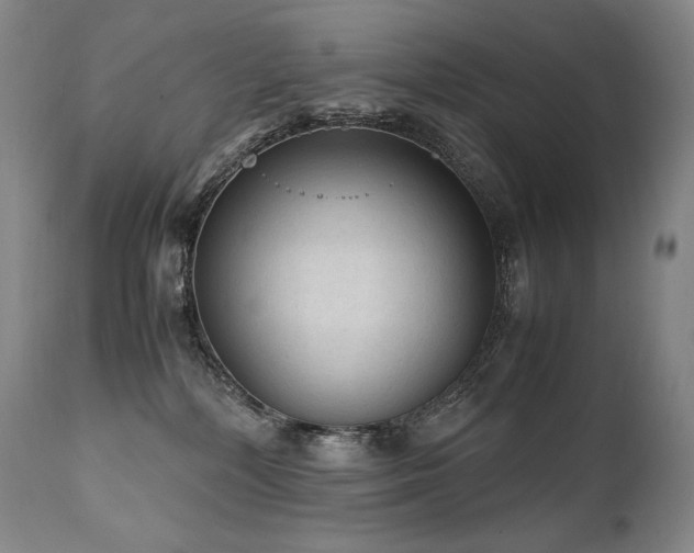 X0000111810232200907231242