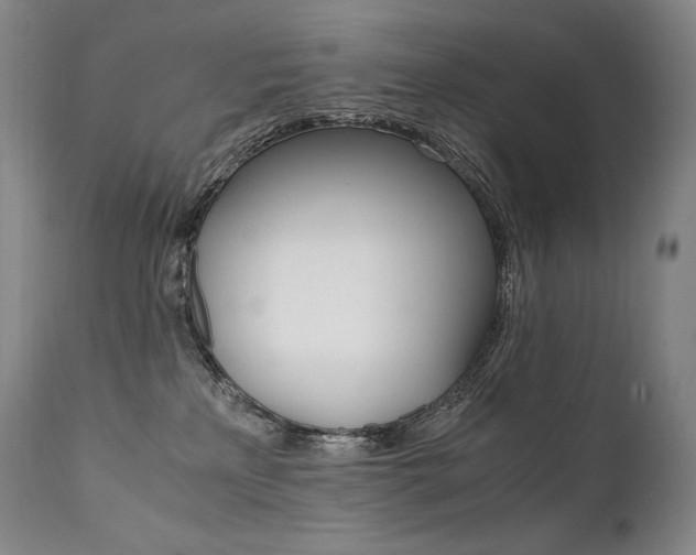 X0000111810233200907231242