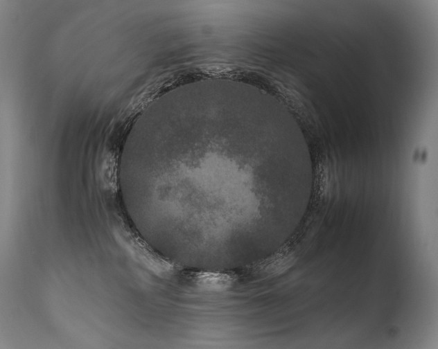 X0000111810234200907231242