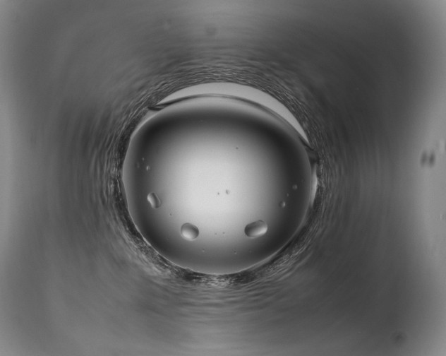 X0000111810235200907231242