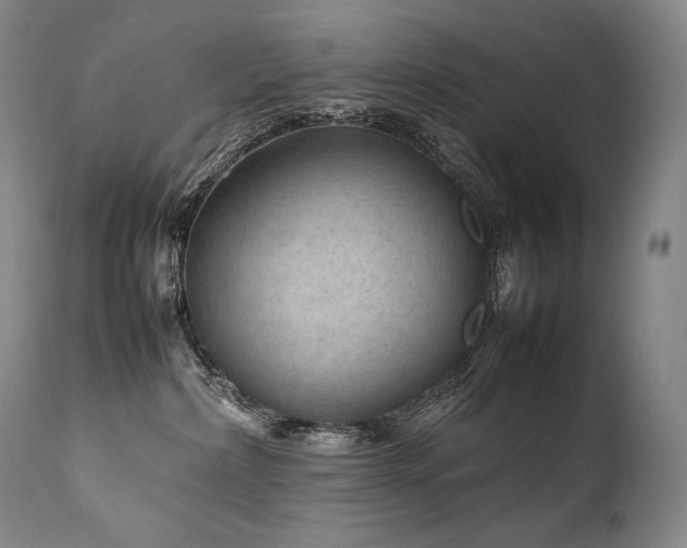 X0000111810236200907231242