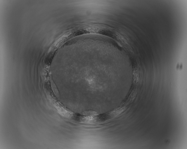 X0000111810237200907231242